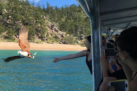 Aquascene Magnetic Island Discovery Tour - Stays Accommodation 2