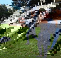 Smartphone  Camera Photography Basics - Stayed