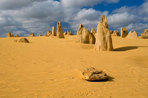 The Pinnacles, Sea And Dunescapes, Bush Reserve And Sunset Day Tour - Stayed 0
