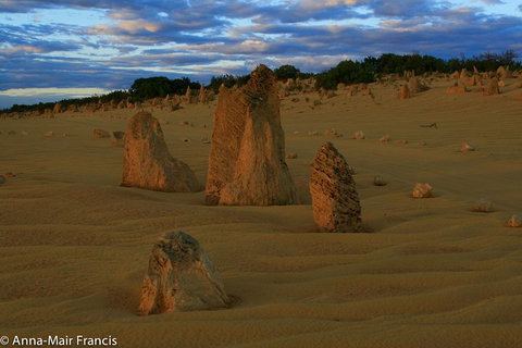 The Pinnacles, Sea And Dunescapes, Bush Reserve And Sunset Day Tour - Stayed 1