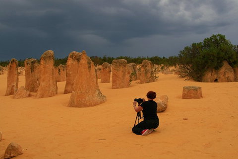 The Pinnacles, Sea And Dunescapes, Bush Reserve And Sunset Day Tour - Stayed 2