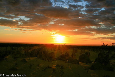 The Pinnacles, Sea And Dunescapes, Bush Reserve And Sunset Day Tour - Stayed 3