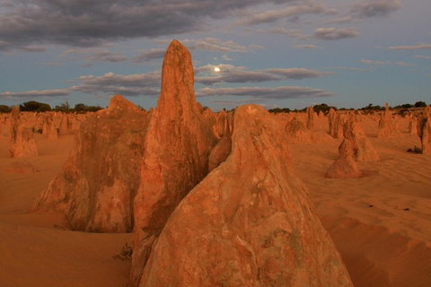 The Pinnacles, Sea And Dunescapes, Bush Reserve And Sunset Day Tour - Stayed 4