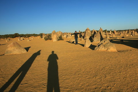 The Pinnacles, Sea And Dunescapes, Bush Reserve And Sunset Day Tour - Stayed 5