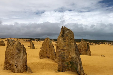 Private Pinnacles Day Tour - Stayed 1