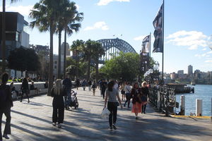 Private City Walking Tour from your hotel