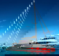 Passions of Paradise Great Barrier Reef Snorkel and Dive Cruise from Cairns by Luxury Catamaran - Stayed