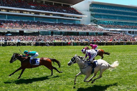 Cultural Melbourne City Tour - Stayed 4