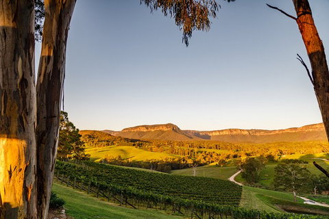 Taste Of The Blue Mountains - Lunch & Wine Tasting, Beer, Cider & Gin Tasting - Stayed 1