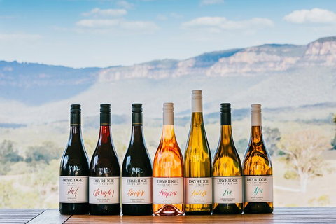 Taste Of The Blue Mountains - Lunch & Wine Tasting, Beer, Cider & Gin Tasting - Stayed 3