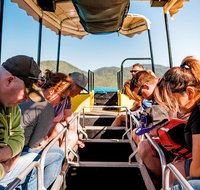 Airlie Beach Glass Bottom Boat Tour - Stayed