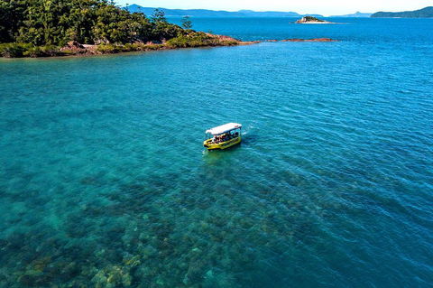 Airlie Beach Glass Bottom Boat Tour - Stayed 4