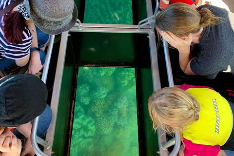 Airlie Beach Glass Bottom Boat Tour - Stayed 5