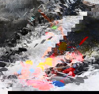 Barron Gorge National Park Half-Day White Water Rafting from Cairns or Port Douglas - Stayed