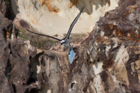 North Stradbroke Island Private Tour With Pickup - Stayed 2