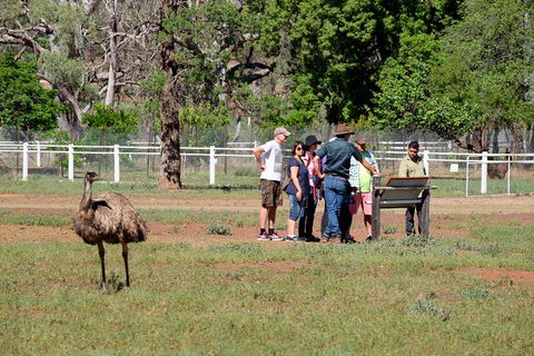 Yura Udnyu - Our Culture, Your Culture (Aboriginal Cultural Walk) - Stayed 1