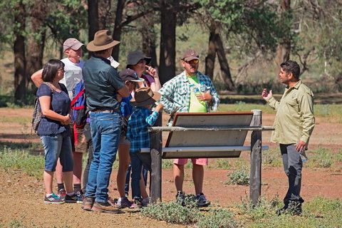 Yura Udnyu - Our Culture, Your Culture (Aboriginal Cultural Walk) - Stayed 2