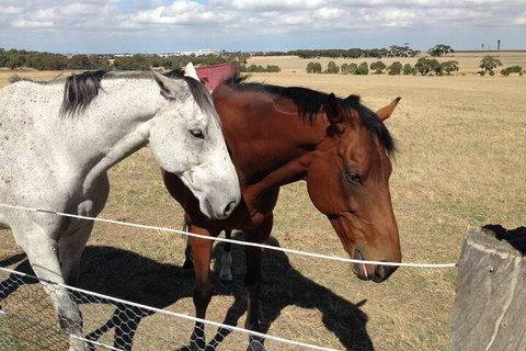 Legends & Champions Tour - Stays Accommodation 1