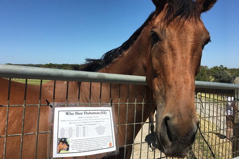 Legends & Champions Tour - Stays Accommodation 4