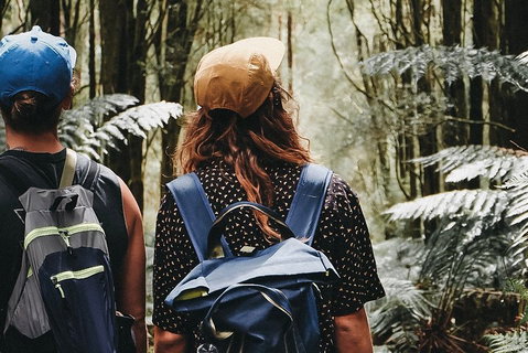 Small Group - Yarra Valley & Dandenong Ranges Hike From Melbourne - Stayed 0