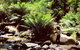 Small Group - Yarra Valley & Dandenong Ranges Hike From Melbourne - thumb 4