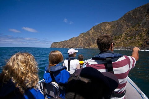 Seal Island Boat Tour From Victor Harbor - Stayed 0