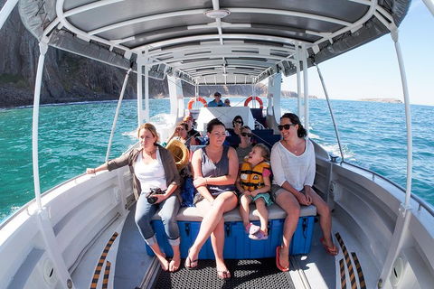 Seal Island Boat Tour From Victor Harbor - Stayed 1