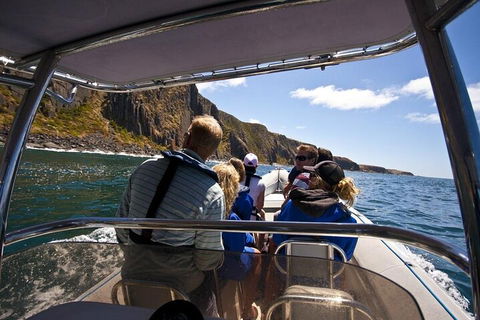 Seal Island Boat Tour From Victor Harbor - Stayed 2