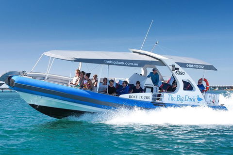 Seal Island Boat Tour From Victor Harbor - Stayed 3