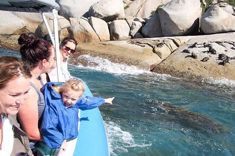 Seal Island Boat Tour From Victor Harbor - Stayed 4