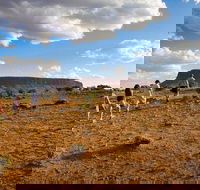 Mount Conner 4WD Small Group Tour from Ayers Rock including Dinner - Stays Accommodation