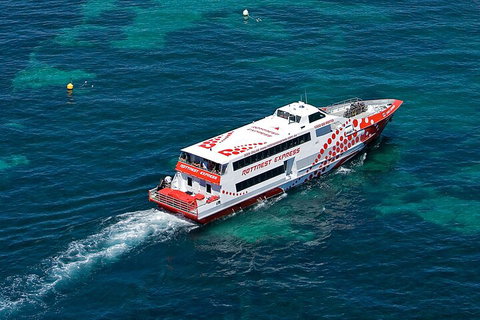Discover Rottnest With Ferry & Bus Tour From Perth Or Fremantle - Stayed 3
