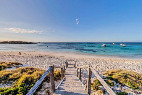 Discover Rottnest With Ferry & Bus Tour From Perth Or Fremantle - Stayed 4