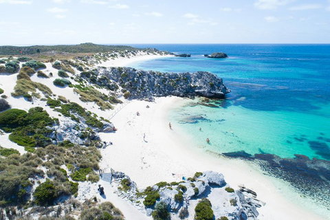 Discover Rottnest With Ferry & Bus Tour From Perth Or Fremantle - Stayed 5