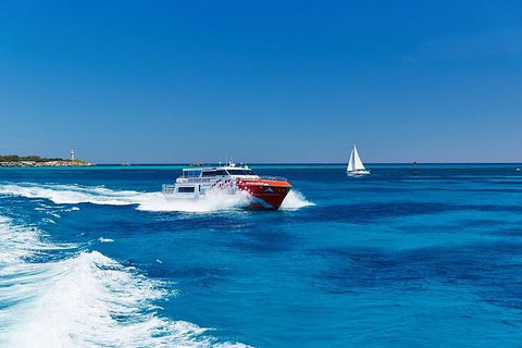 Rottnest Island Round-Trip Ferry From Perth Or Fremantle - Stayed 4