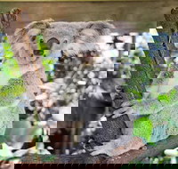 Cairns ZOOM and Wildlife Dome - Stayed