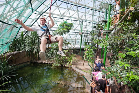 Cairns ZOOM And Wildlife Dome - Stays Accommodation 4