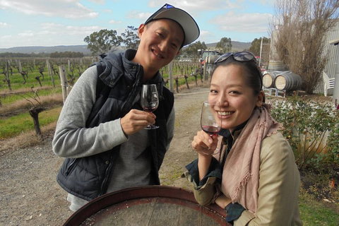 Swan Valley River Cruise And Wine Tasting Day Trip From Perth - Stayed 0