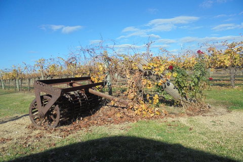 Swan Valley Tour From Perth: Wine, Beer And Chocolate Tastings - Stayed 3