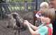 Swan Valley Half-Day Food Tour And Wine Trail From Perth - thumb 5