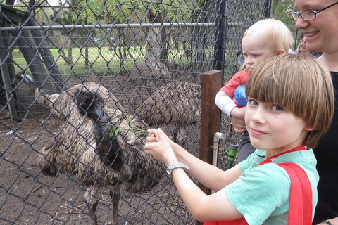 Swan Valley Half-Day Food Tour And Wine Trail From Perth - Stayed 5