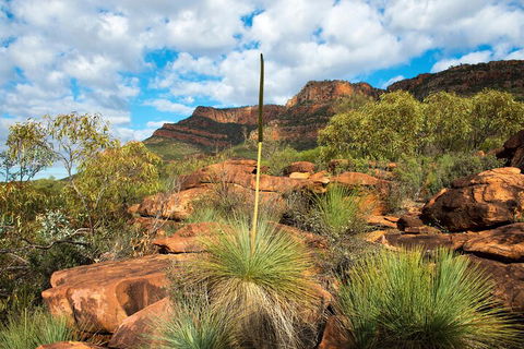 6-Day Eyre Peninsula & Flinders Ranges Adventure Tour - Stayed 1