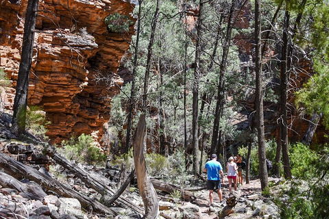 6-Day Eyre Peninsula & Flinders Ranges Adventure Tour - Stayed 5
