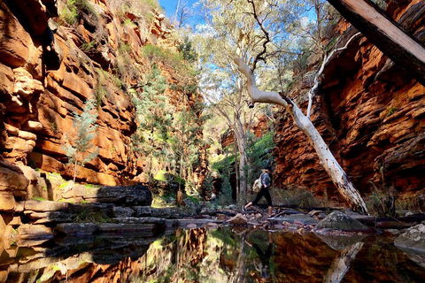 10-Day Adelaide To Perth Adventure Tour - Stayed 5