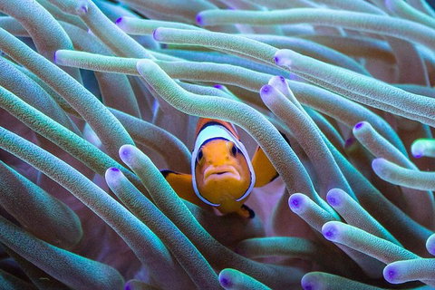 General Admission Entry At AQWA - Stayed 4