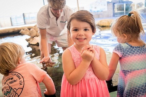 Lunch And General Admission Entry At AQWA - Stays Accommodation 4