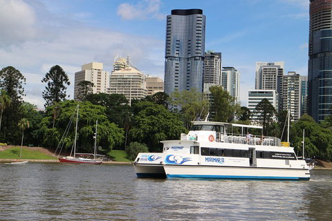 Lone Pine Koala Sanctuary Admission With Brisbane River Cruise - Stayed 2