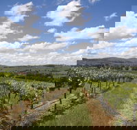Hunter Valley Wine Tour from Sydney incl Lunch Cheese Chocolate and Distillery - Stayed