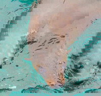 Wilsons Promontory Full Day Cruise - Stayed