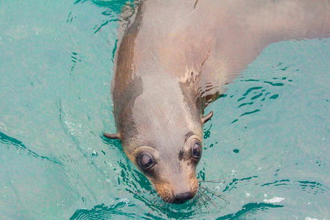 Wilsons Promontory Full Day Cruise - Stayed 0